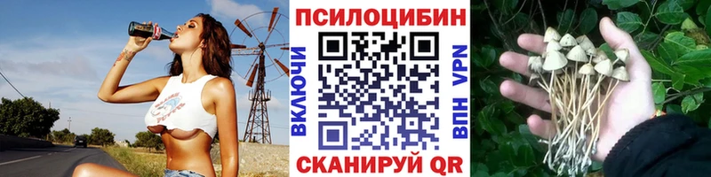 Галлюциногенные грибы GOLDEN TEACHER  Красноармейск 